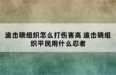 追击晓组织怎么打伤害高 追击晓组织平民用什么忍者